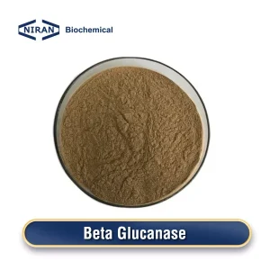 Beta Glucanase