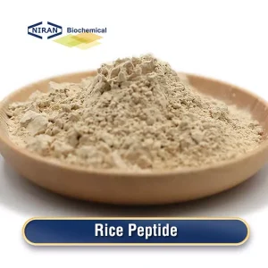 Rice Peptide