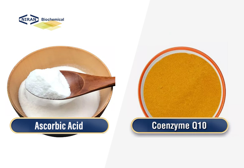 Ascorbic Acid vs. Coenzyme Q10