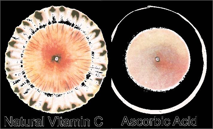 Ascorbic Acid vs VC