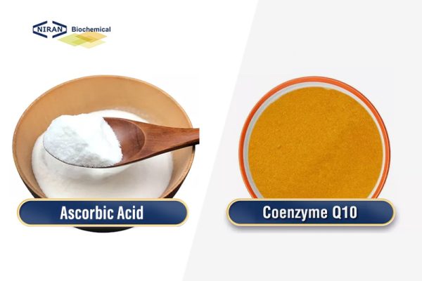 Ascorbic Acid vs. Coenzyme Q10